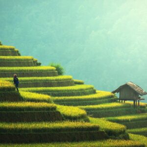 Person Standing on Terraces