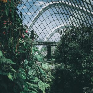 Plants Inside A Greenhouse