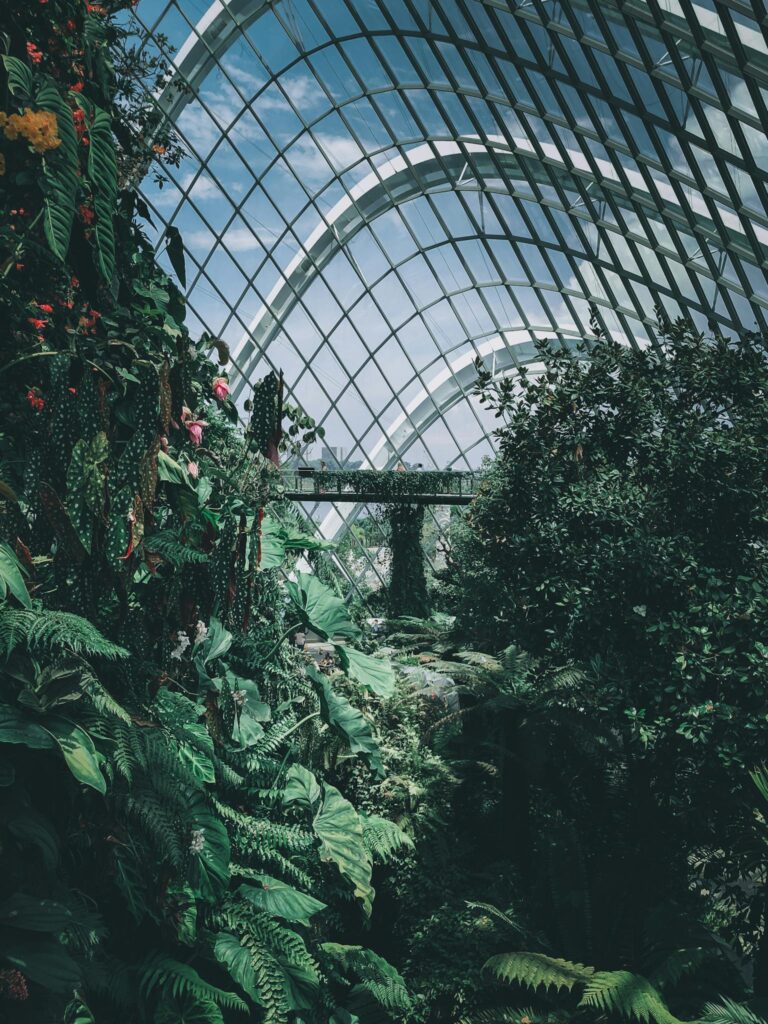  Plants Inside A Greenhouse